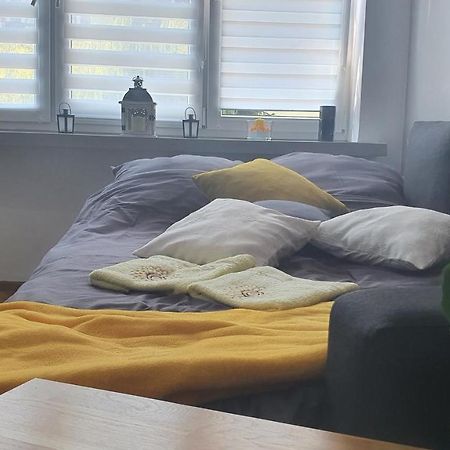 Apartament Park Saski Sandomierz Kültér fotó