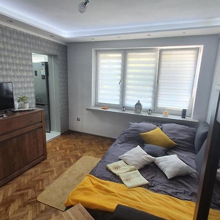 Apartament Park Saski Sandomierz Kültér fotó