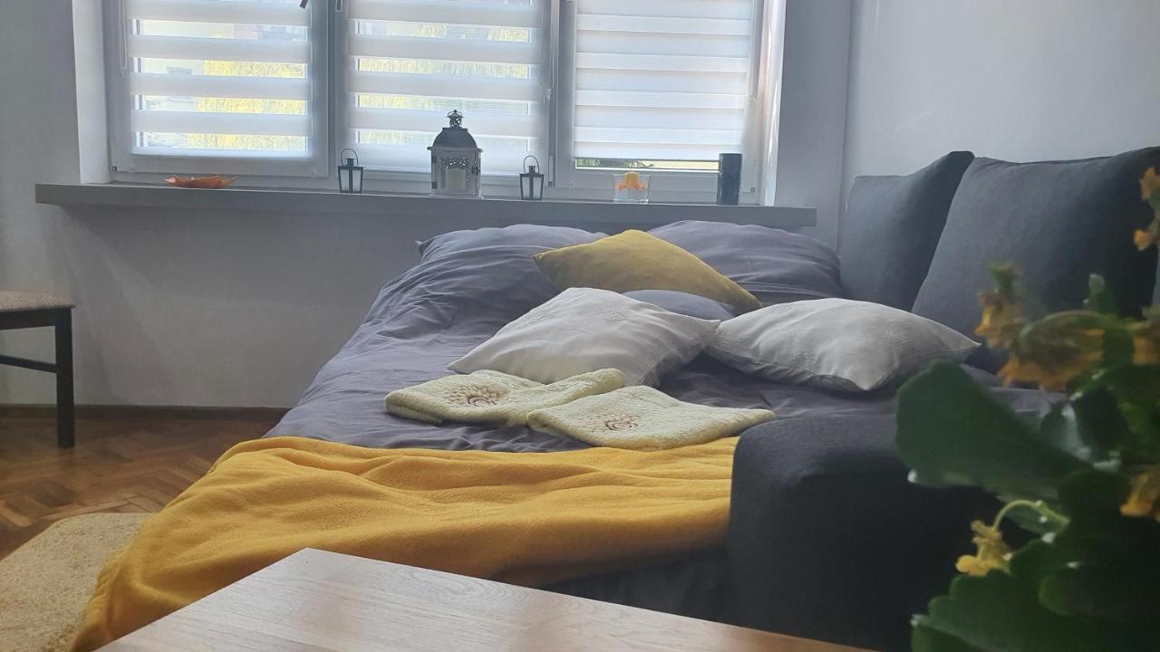 Apartament Park Saski Sandomierz Kültér fotó